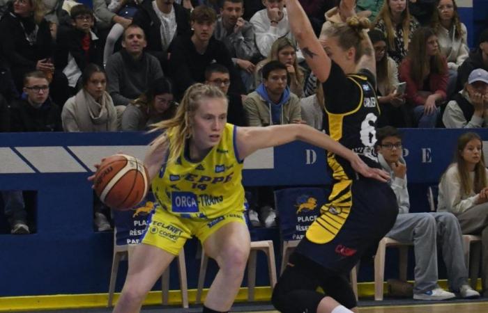 Echi dagli stadi. Giocatori di basket di Dieppe come favoriti