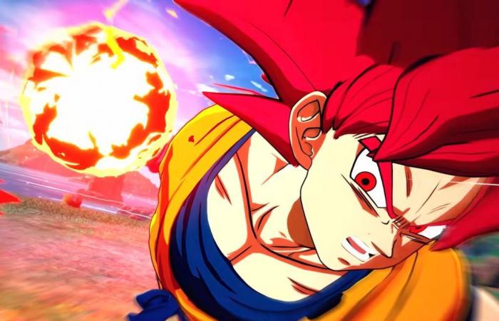 il degno erede del Budokai Tenkaichi