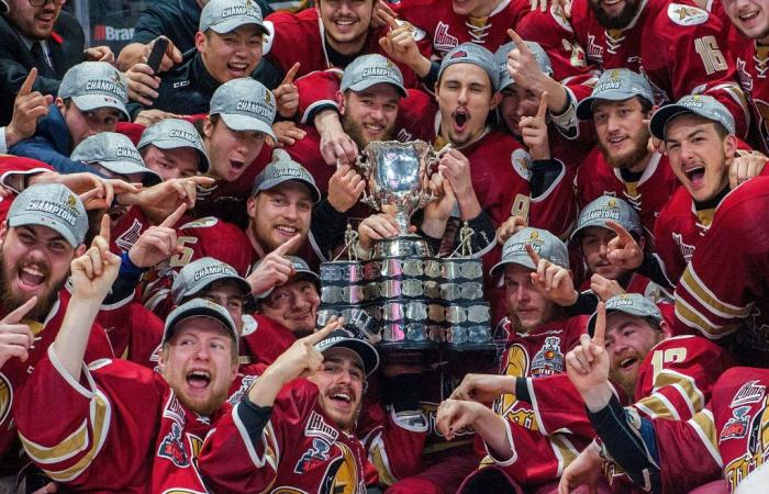 L’Acadie-Bathurst Titan potrebbe trasferirsi a Terranova