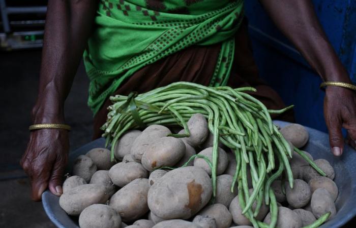 L’elevata inflazione alimentare in India lascia meno soldi nei cestini del pranzo degli scolari poveri