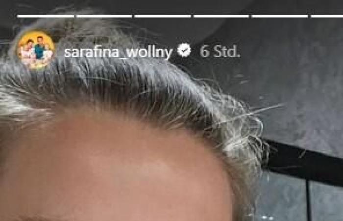 Lo shock di Wollny con la chirurgia estetica di massa! Ecco come appare Sarafina adesso