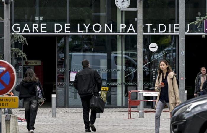 Lione. Stazione Part-Dieu evacuata temporaneamente per bagagli abbandonati, traffico interrotto