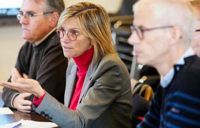 Agnès Pannier-Runacher assicura che il governo proporrà “un aumento della tassazione sul gas”