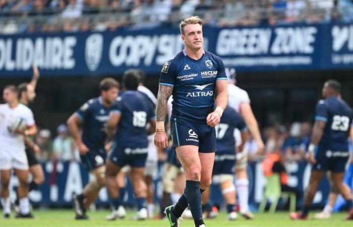 Top 14 – Stuart Hogg in fondo, ritorna Gwenaël Duplenne… Le composizioni di Montpellier – Vannes