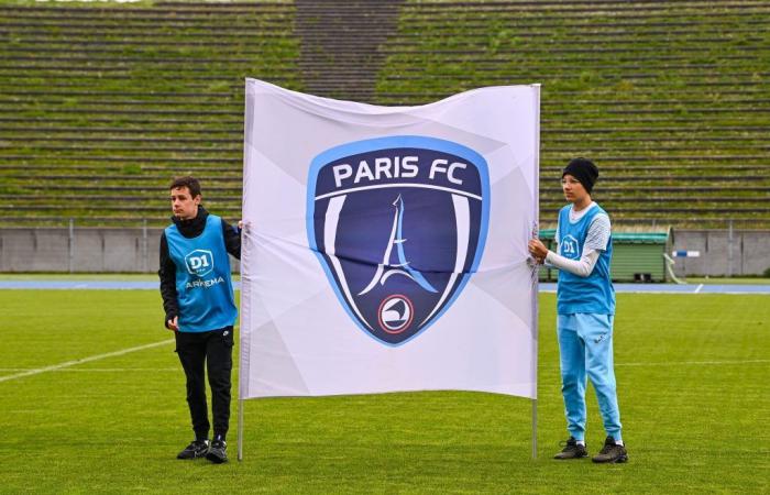 Paris FC: l’immensa sfida che attende Bernard Arnault