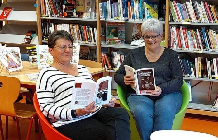 Saint-Cyr-des-Gâts. Un nuovo direttore in biblioteca