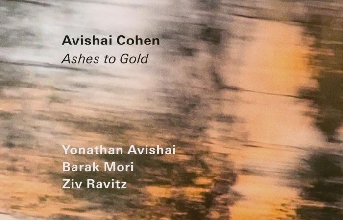 Avishai Cohen, Einstein… Dischi e libri preferiti