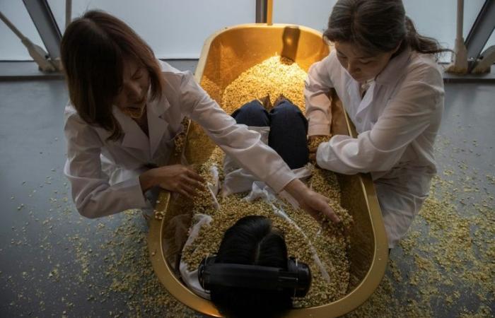 Vasche da bagno piene di fiori, con chicchi di riso separati: la mostra Abramovic a Shanghai