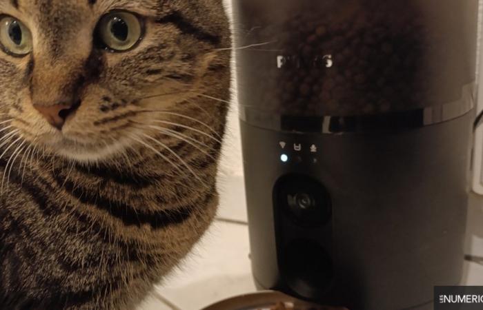 Test Philips Pet Series: i rotoli di dispenser di crocchette per il tuo animale domestico