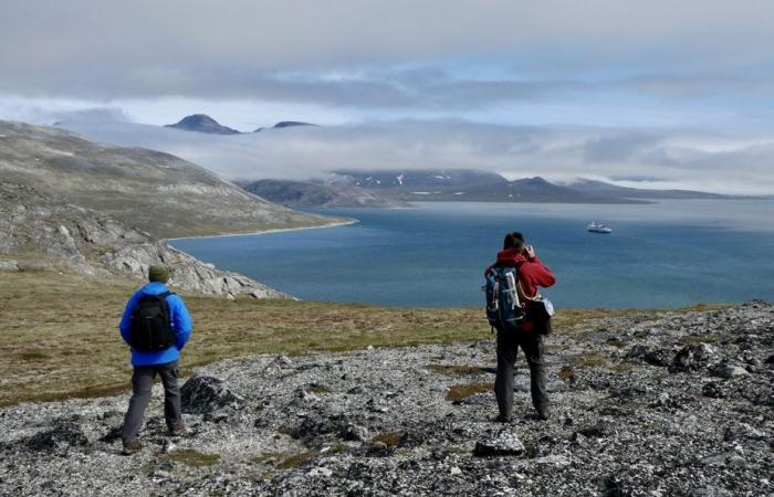 Crociera a Terranova e Labrador | Montagne e orsi