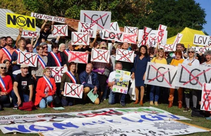 Progetto LGV Bordeaux-Tolosa: attesi 3.000 oppositori per una manifestazione non dichiarata