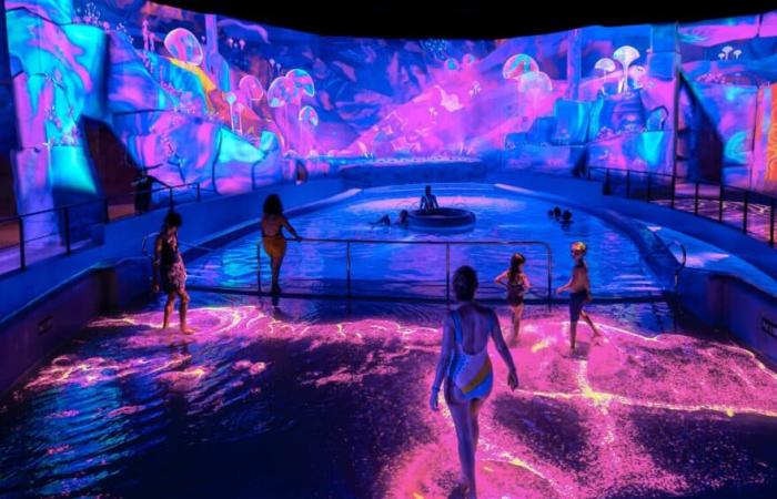 Il nuovo e rivoluzionario parco acquatico indoor al Futuroscope – Paris Select