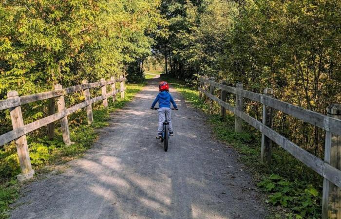 Saumurois. Qual è il bilancio di Vélo Francette dopo 10 anni di esistenza?