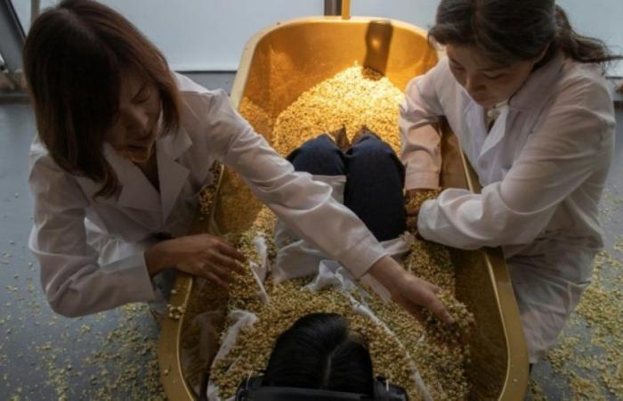 Vasche da bagno piene di fiori, chicchi di riso separati: la mostra Abramovic a Shanghai: News