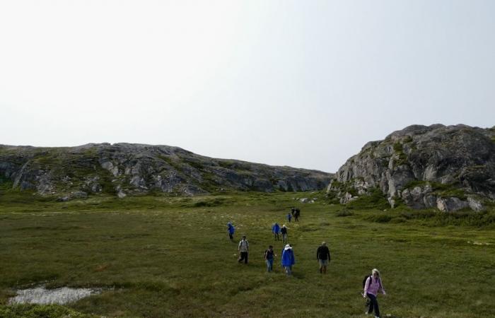 Crociera a Terranova e Labrador | Montagne e orsi