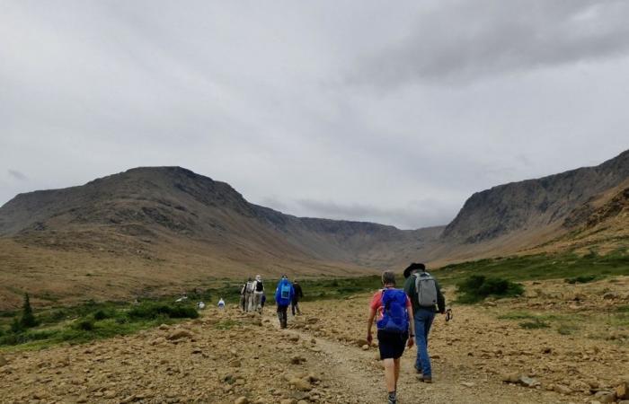 Crociera a Terranova e Labrador | Montagne e orsi