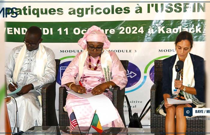 SENEGAL-USA-AGRICOLTURA-CLIMA / Lotta al cambiamento climatico: un consigliere culturale punta sui partenariati tra paesi – Agenzia di stampa senegalese