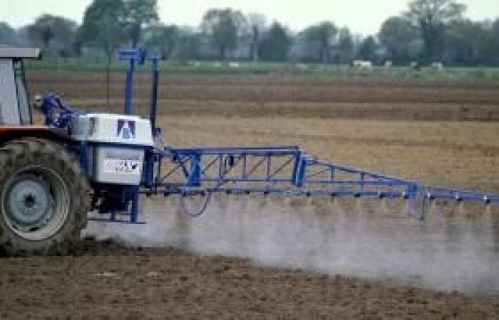 Vicino a La Rochelle, pesticidi vietati trovati nei corpi di 70 bambini