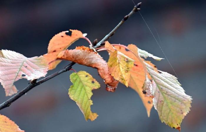 Meteo domenica 13 ottobre 2024: previsioni meteo attuali e tendenza a 3 giorni