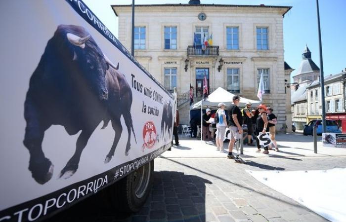 Membro di un’associazione che difende la causa animale, residente nell’Haut-Vienne all’origine di un’indagine su una scuola di corrida