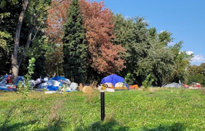 RESTITUITO IL CAMPO DI NOTRE-DAME: QUALI SOLUZIONI IN VISTA?