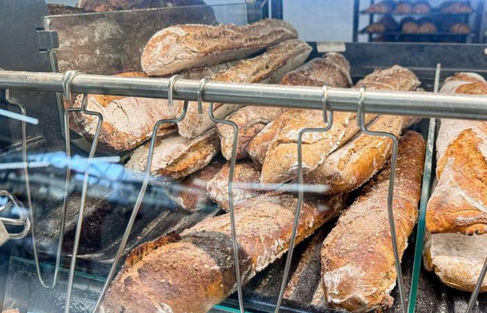 Ecco le peggiori baguette di pane del supermercato secondo 60 milioni di consumatori