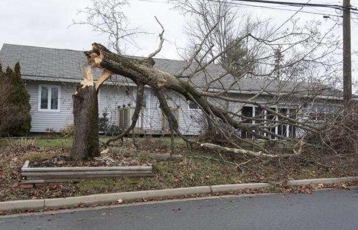 Le questioni climatiche sfuggono al radar della campagna elettorale del New Brunswick