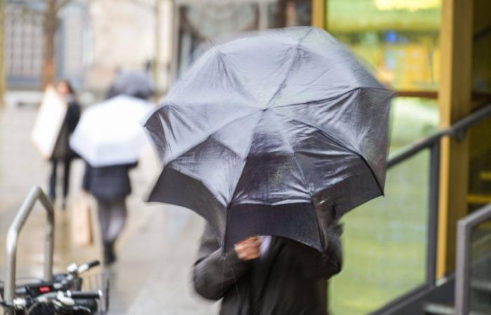 Meteo a Berlino e Brandeburgo: pericolo dall’alto! L’esperto trova parole chiare