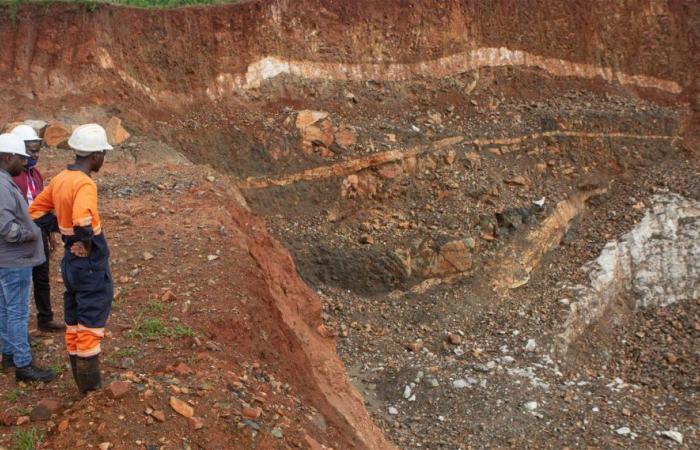 I profitti del settore minerario dello Zimbabwe diminuiranno nel 2025