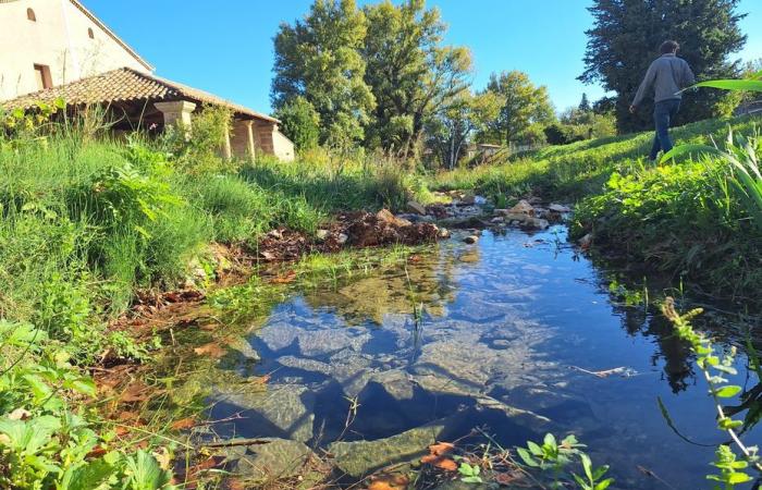 la rinaturalizzazione di un fiume può cambiare tutto