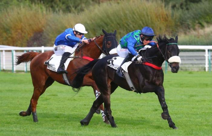 Kandy Park vince il Premio Bayonnet 2024 ad Auteuil