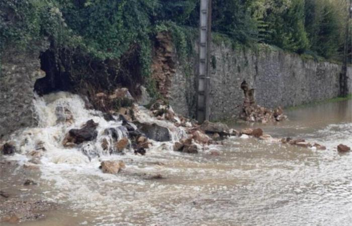 Questa è la notizia della settimana in Seine-et-Marne