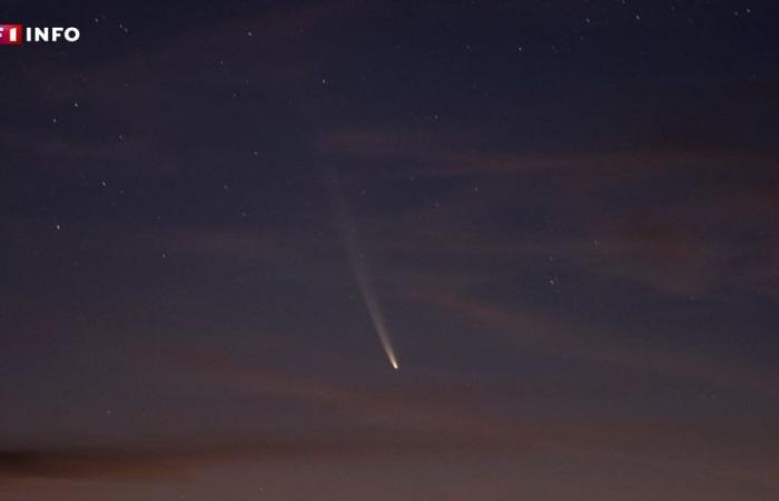 “Cometa del secolo”: le immagini più belle del suo ritorno visibili ad occhio nudo (o quasi) in Francia