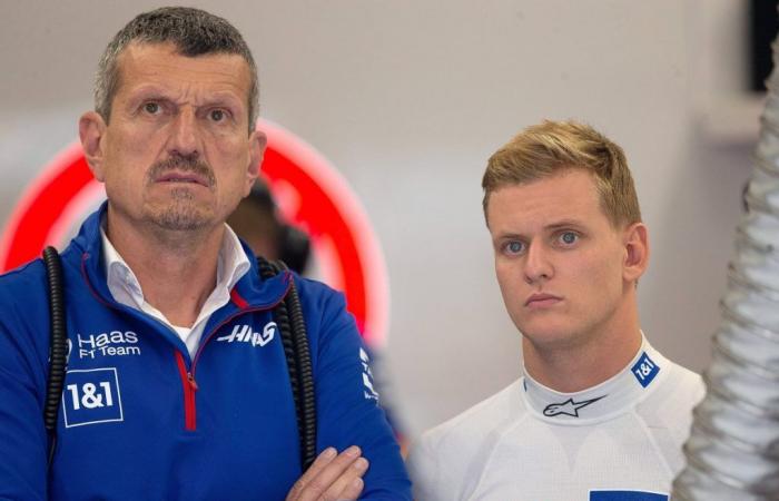 Formula 1: grazie a Schumacher! Günther Steiner finalmente disfa le valigie