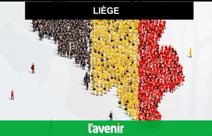 Liegi: ecco i risultati (quasi) definitivi delle elezioni 2024! – Tutto quello che devi sapere sulle elezioni comunali e provinciali in Belgio