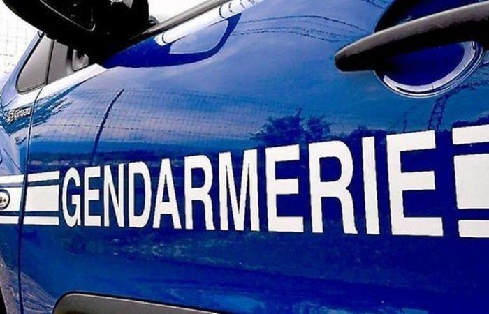 “Poteva essere una vera macelleria”: un adolescente ruba l’auto della madre, sfreccia a 180 km/h, fa inversione di marcia in autostrada e provoca un incidente