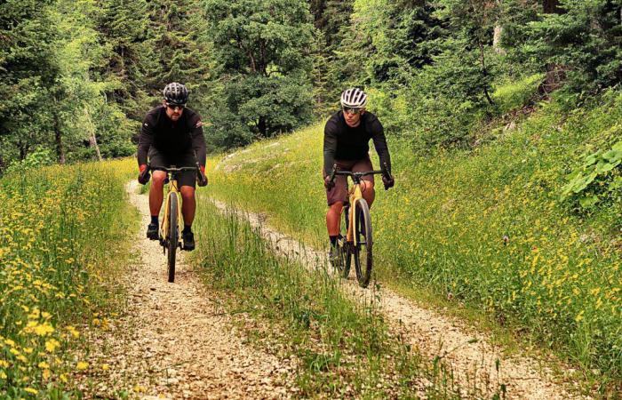 Fuga e scoperta: perché la ghiaia sta esplodendo in Francia