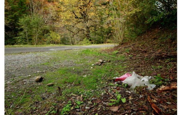 La mattina. Nuova fase nelle indagini sull’omicidio Chevaline; Individuata una strada pericolosa in Alta Savoia; Stéphane Bern si confida come mai prima… Ecco il Mattino di questa domenica