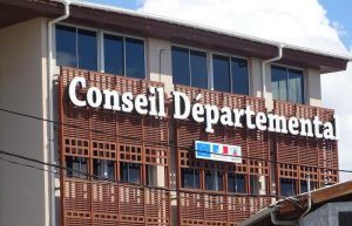 Il Dipartimento di Mayotte sostiene Zena Airlines ma “le compagnie dovranno fare degli sforzi”, afferma Ben Issa Ousseni