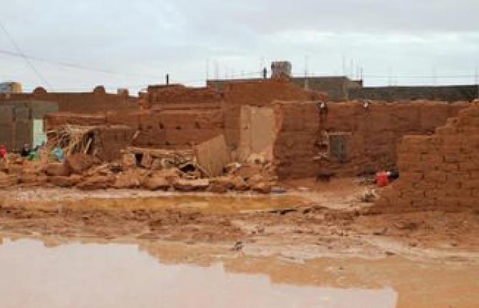 le incredibili immagini delle dune del Sahara punteggiate di alberi e laghi dopo le forti piogge di settembre (Video)