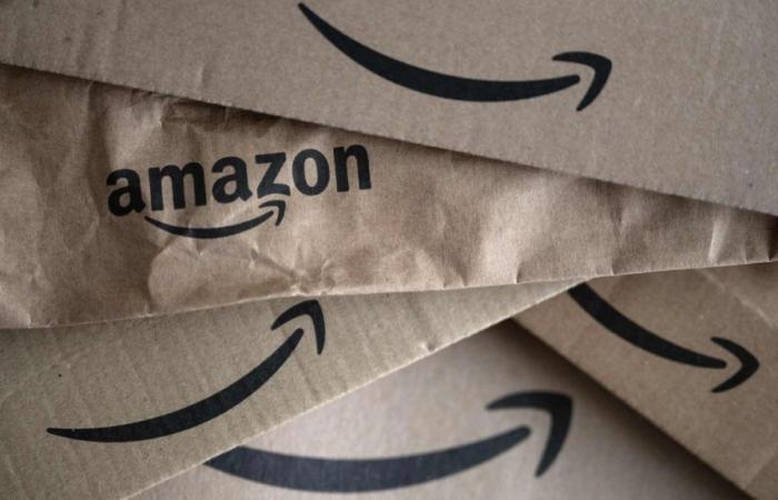 Carte di credito: i ministeri del Quebec sono dipendenti da Amazon