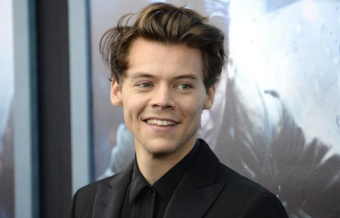 Scopri le lussuose residenze di Harry Styles nel mondo – Actual Immo