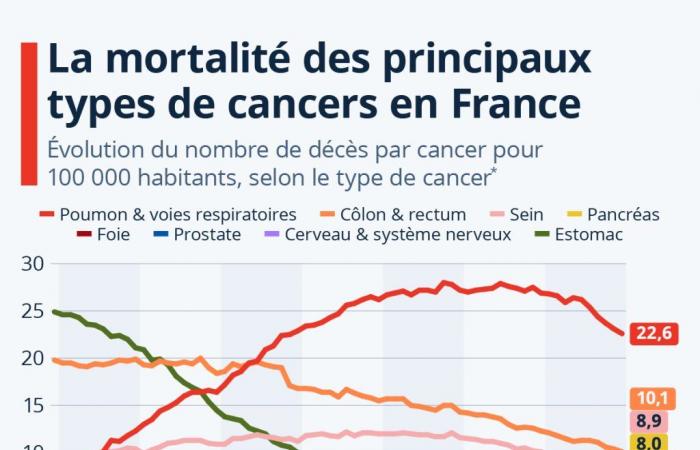 Grafico: Come evolve la mortalità dei principali tipi di cancro in Francia?