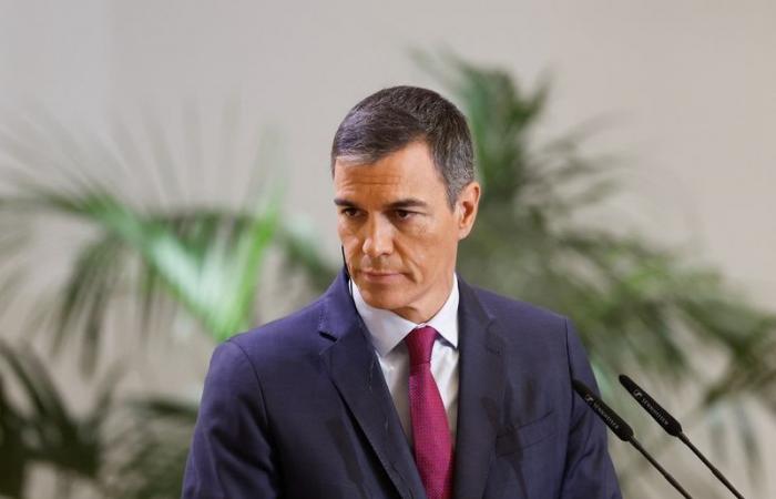 Pedro Sánchez chiede la fine delle consegne di armi a Israele