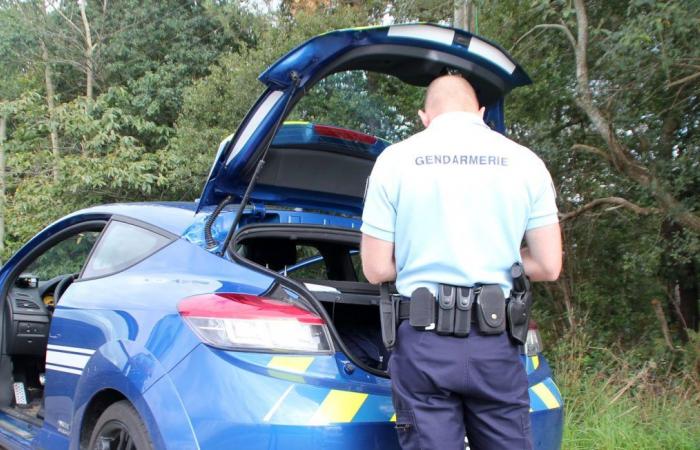 Un agente di polizia gravemente ferito dopo essere stato travolto durante un controllo stradale