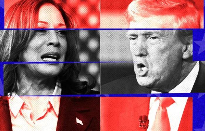 ventidue giorni prima delle elezioni, le ultime informazioni su Kamala Harris e Donald Trump e le risposte alle vostre domande