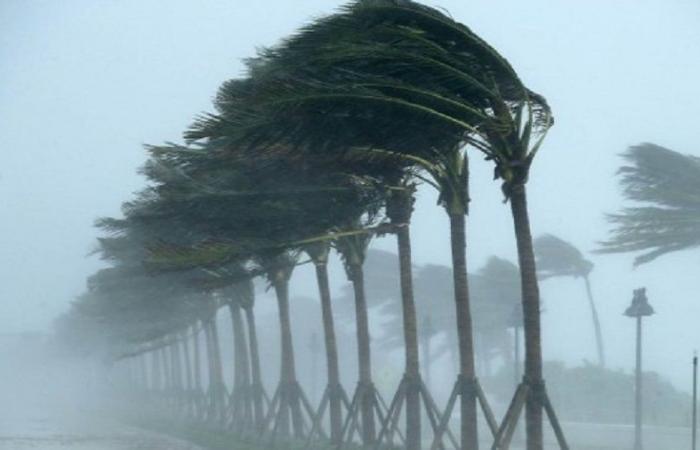 Allerta meteo. Temporali, grandine e raffiche di vento