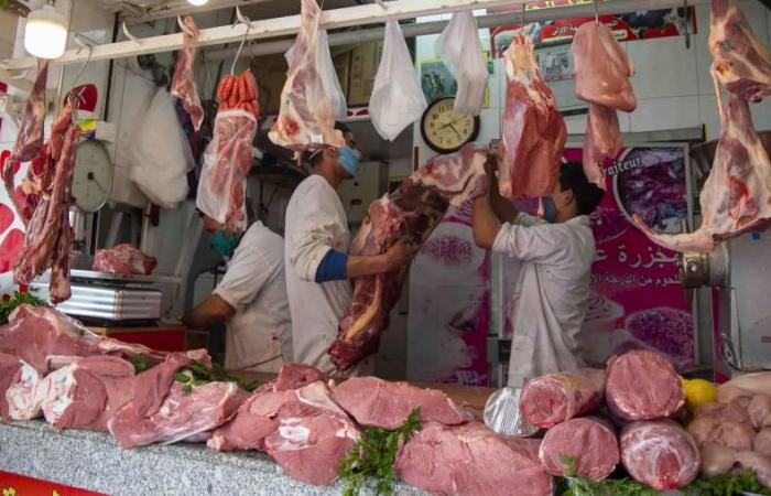 L’importazione di carne bovina e ovina ridurrà i prezzi?