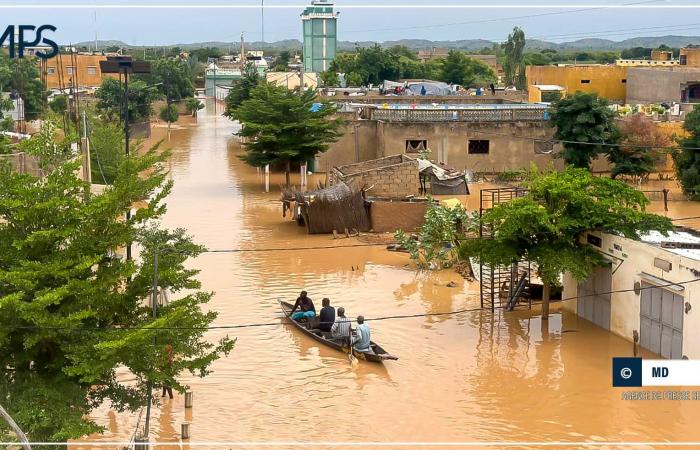 SENEGAL-INVERNO-SINISTRE / Bakel: Jean-Baptiste Tine annuncia la consegna di generi alimentari – Agenzia di stampa senegalese