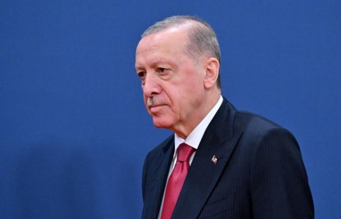 Attacchi all’Unifil: l’immagine dell’Onu è “vergognosa”, critica Erdogan